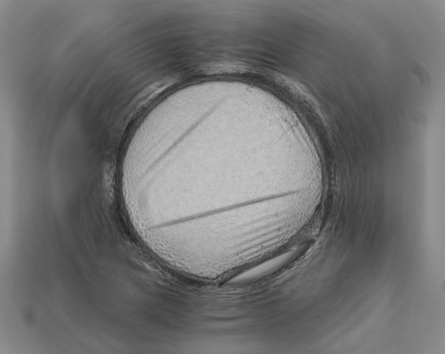 X0000114431217200911131324
