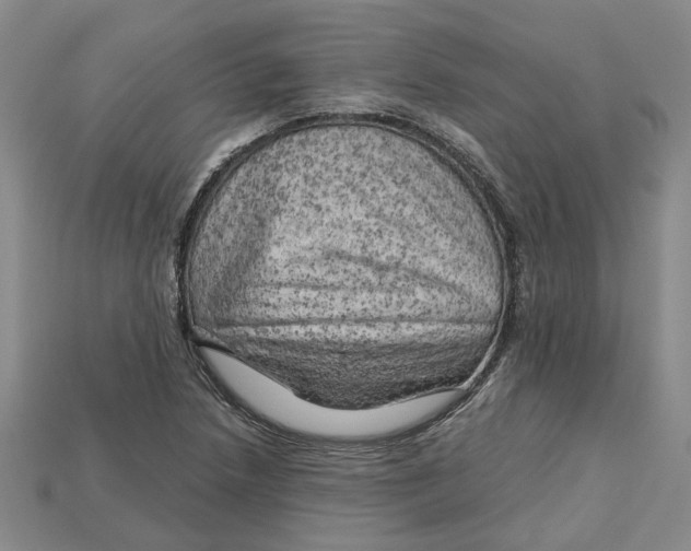 X0000114431218200911131324