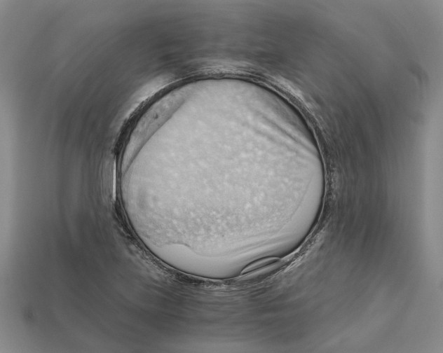 X0000114431219200911131324