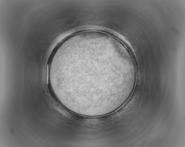 X0000114431223200911131324