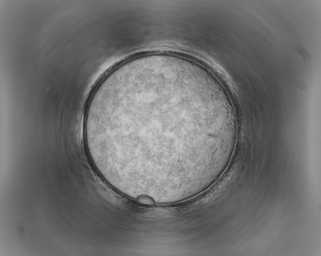 X0000114431224200911131324