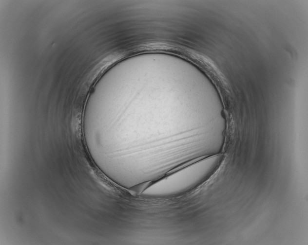 X0000114431225200911131324
