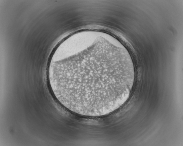 X0000114431229200911131324