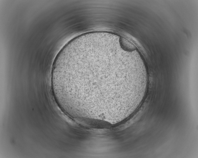 X0000114431236200911131325