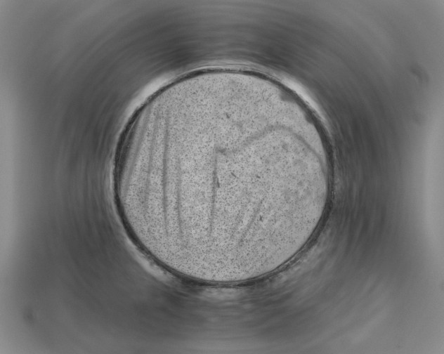 X0000114431237200911131325