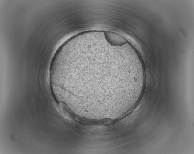 X0000114431238200911131325