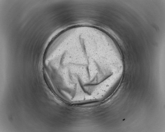 X0000114431240200911131325