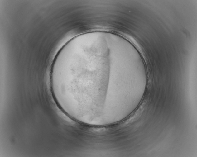 X0000114431243200911131325