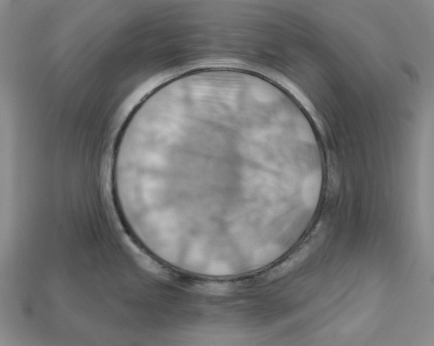 X0000114431245200911131325