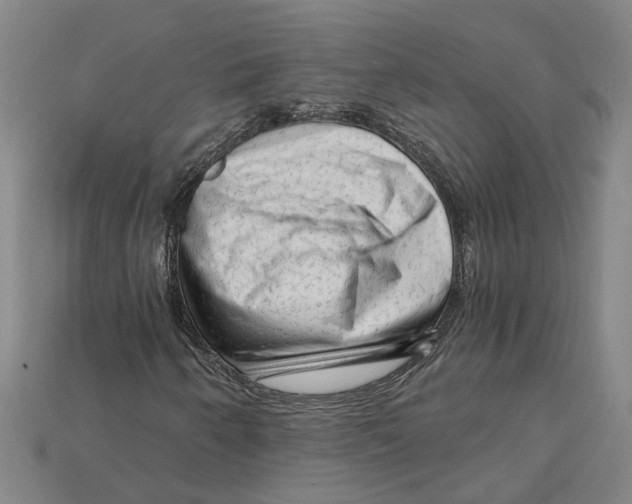 X0000114431250200911131324
