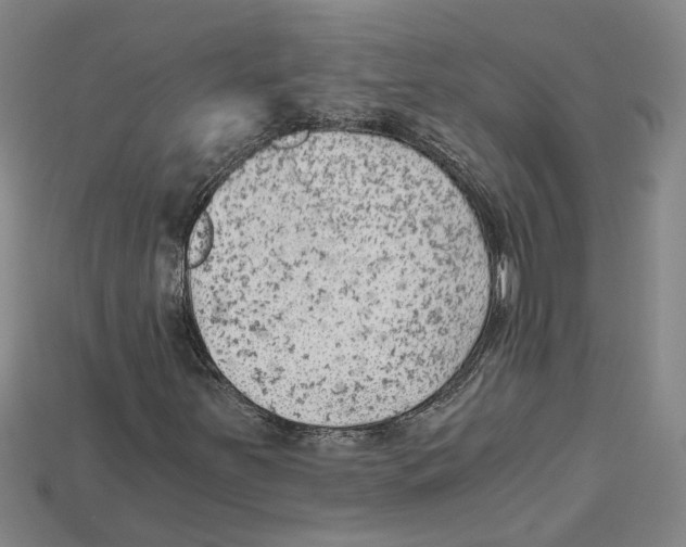 X0000114431251200911131324
