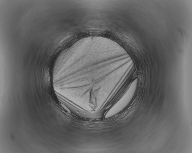 X0000114431252200911131324