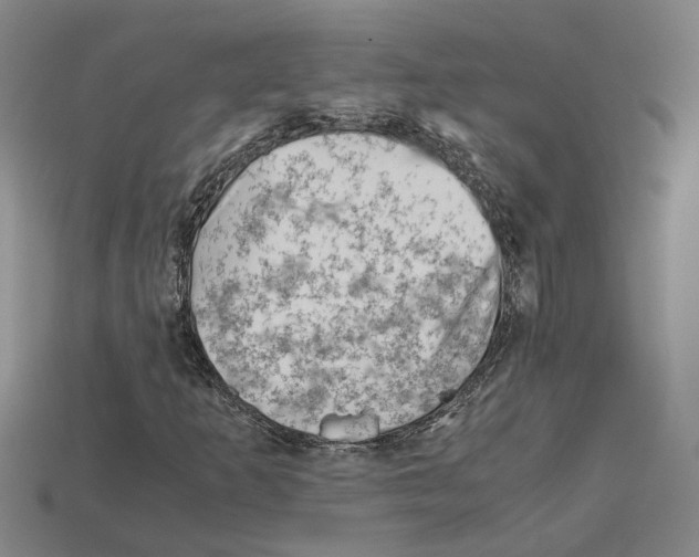 X0000114431253200911131324