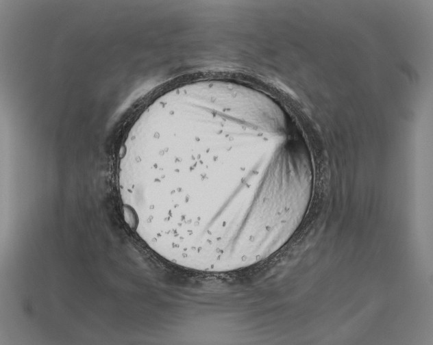X0000114431255200911131324