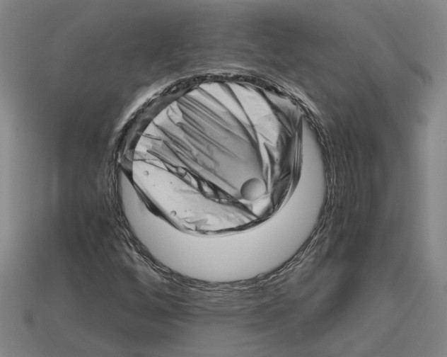 X0000114431256200911131324