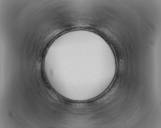 X0000114431257200911131324