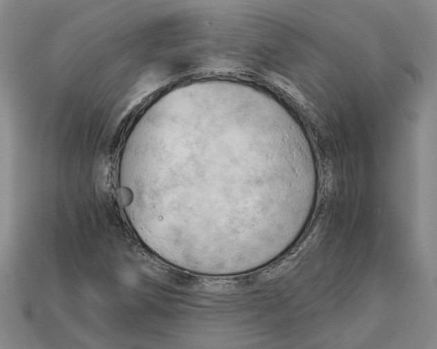X0000114431258200911131324