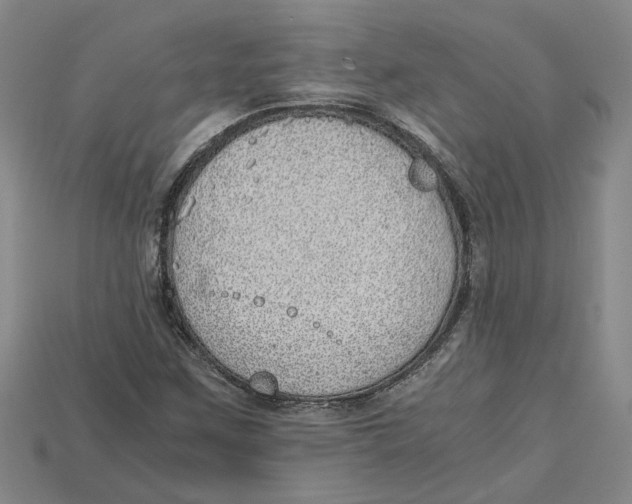 X0000114431259200911131324