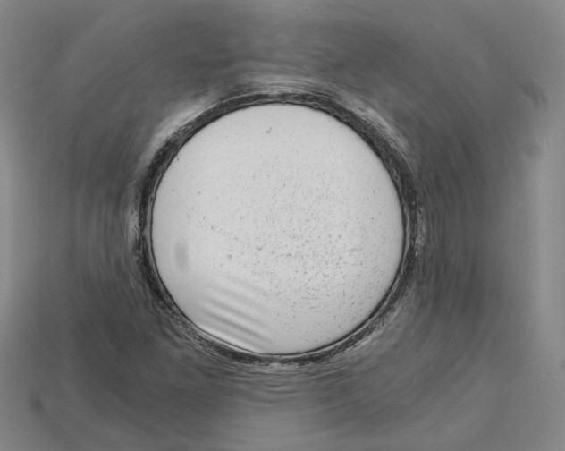 X0000114431261200911131324