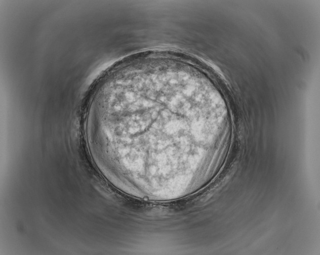 X0000114431263200911131324