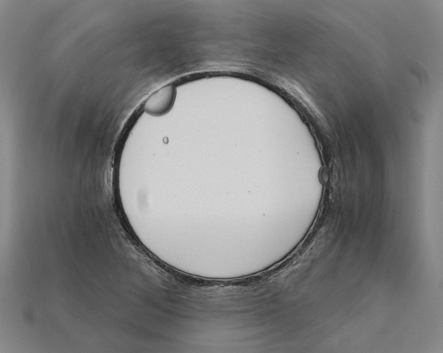X0000114431268200911131324