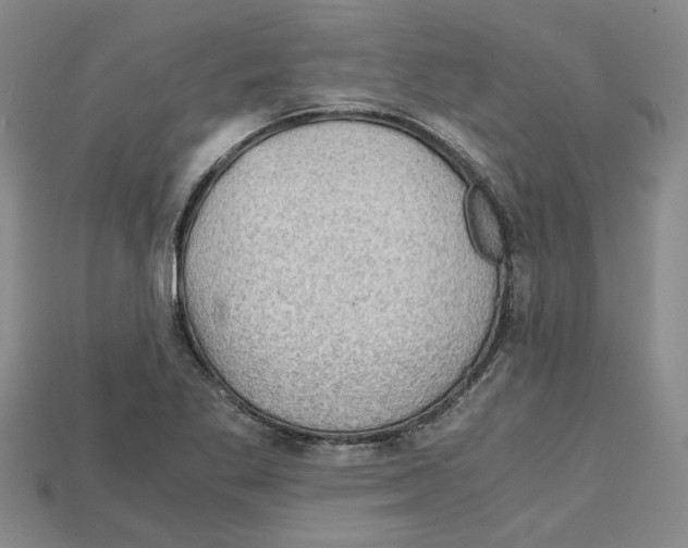 X0000114431269200911131324