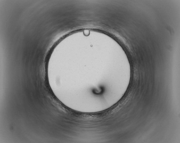 X0000114431270200911131324