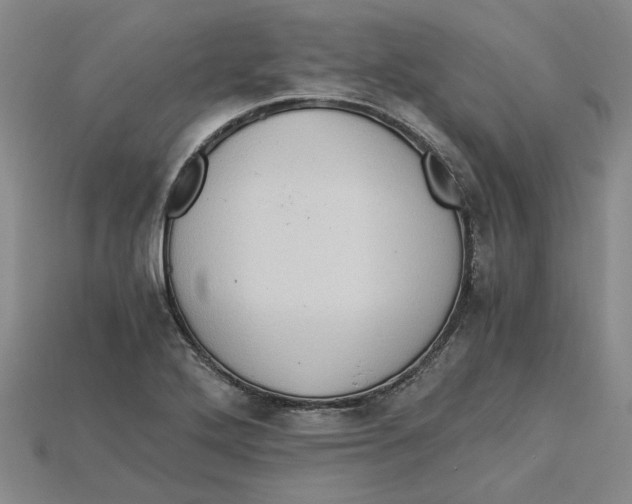 X0000114431272200911131324