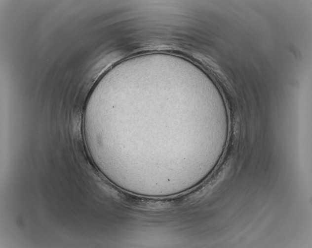 X0000114431273200911131324