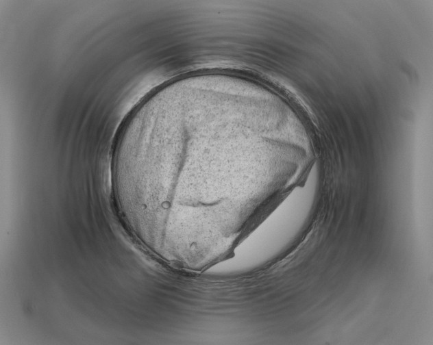 X0000114431274200911131324