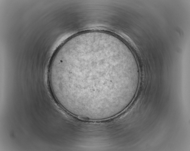 X0000114431277200911131324