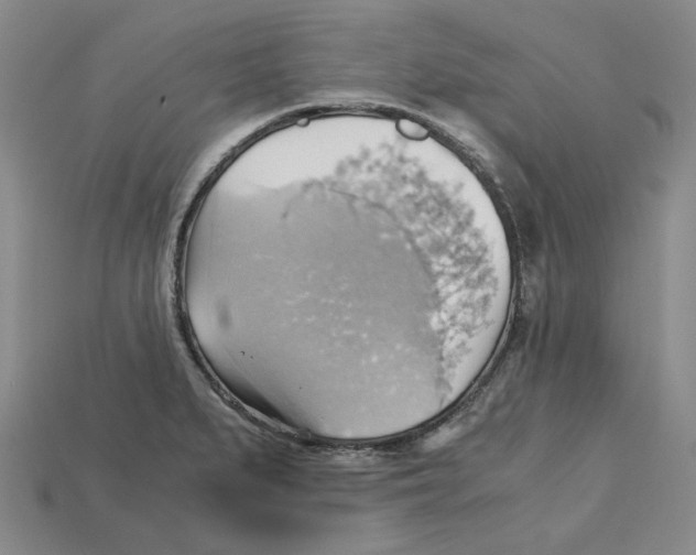 X0000114431279200911131324