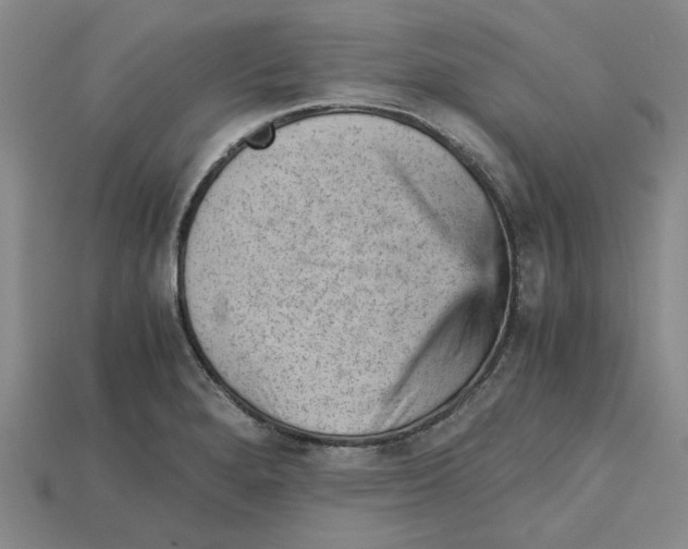 X0000114431280200911131324