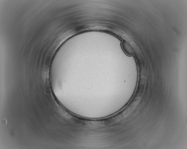 X0000114431281200911131324