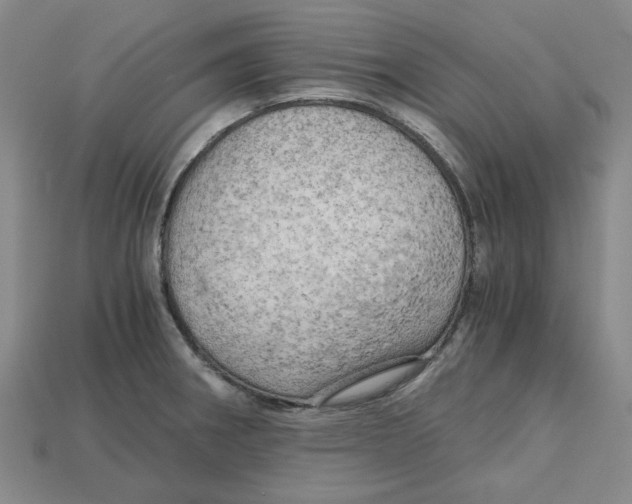 X0000114431282200911131324
