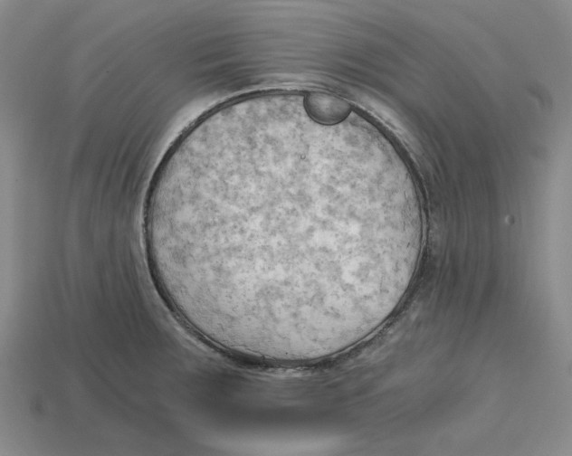 X0000114431283200911131324