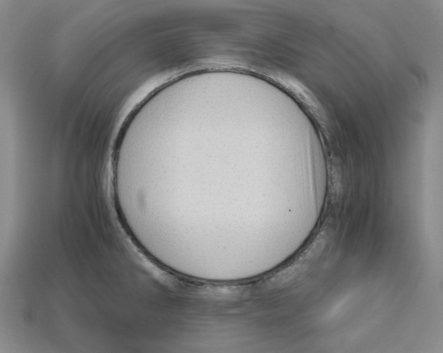 X0000114431286200911131324