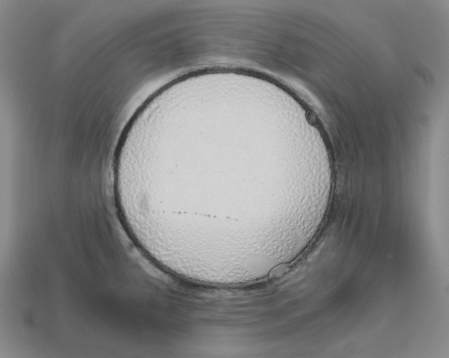 X0000114431287200911131324