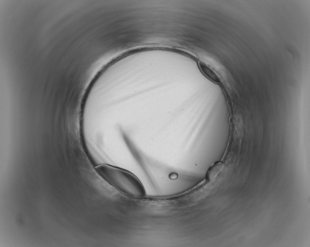 X0000114431288200911131324