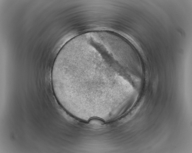X0000114431289200911131324