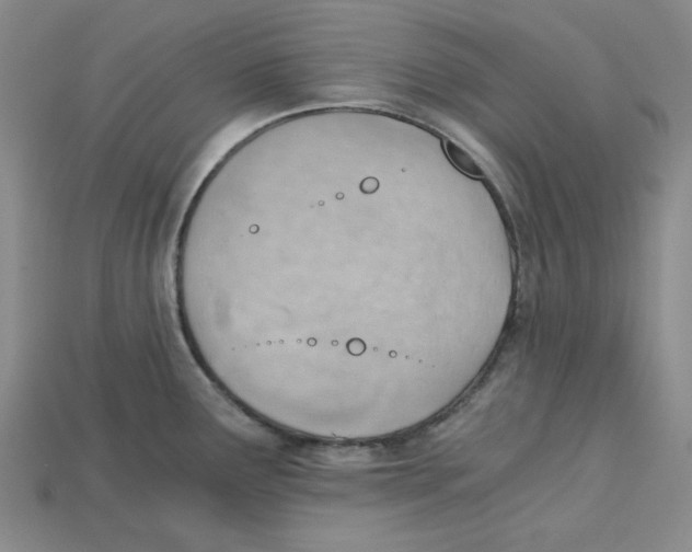 X0000114431291200911131324