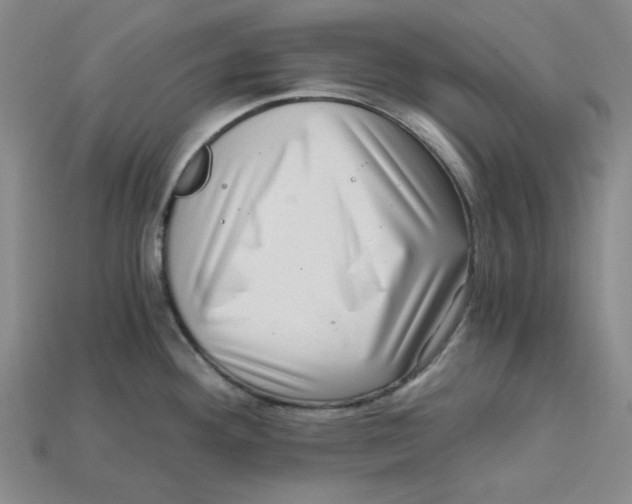 X0000114431292200911131324