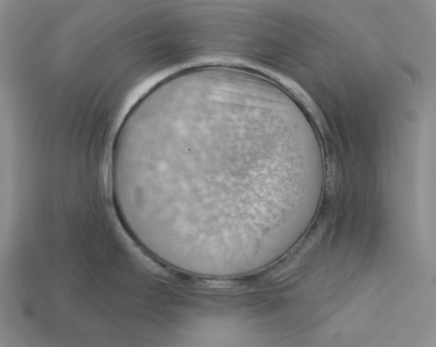 X0000114431295200911131324