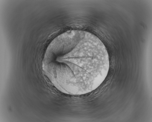 X0000114431297200911131323