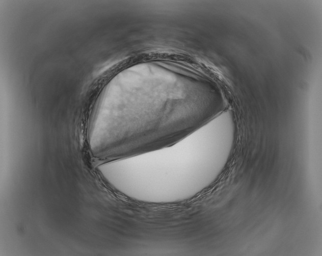 X0000114431303200911131323