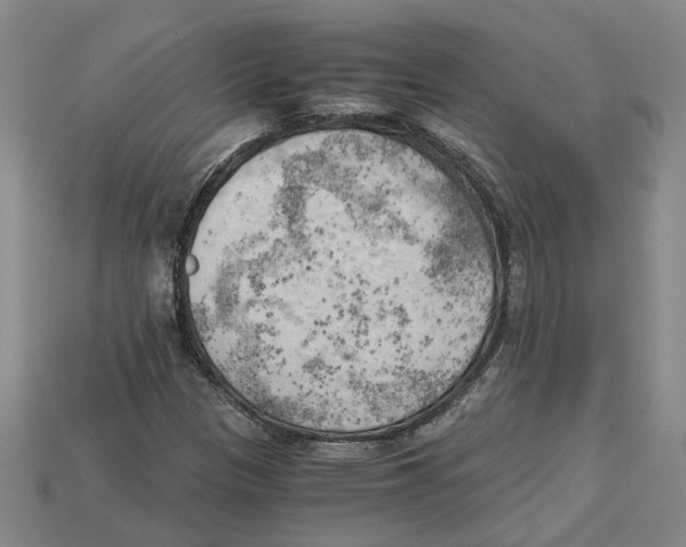 X0000114431305200911131323