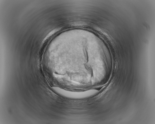 X0000114431306200911131323
