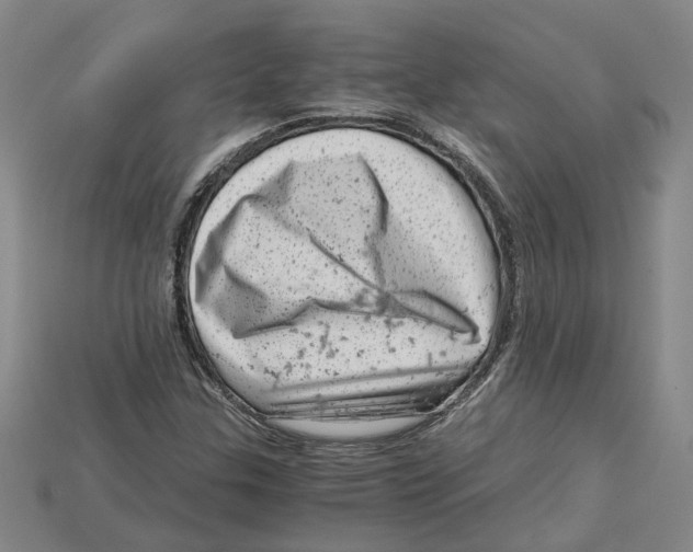 X0000114431307200911131323