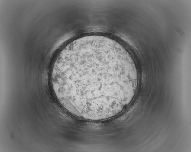 X0000114431309200911131323