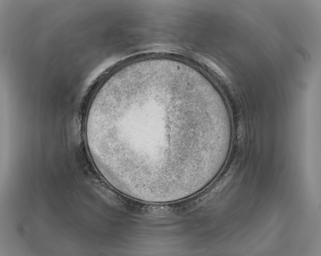 X0000114431310200911131323